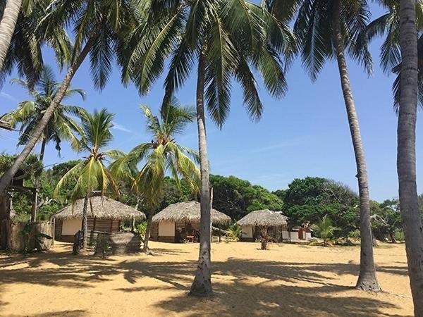 Upali Beach Surf Resort & Cafe Аругам Экстерьер фото